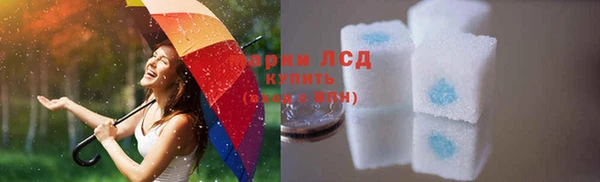 ГАЛЛЮЦИНОГЕННЫЕ ГРИБЫ Михайлов