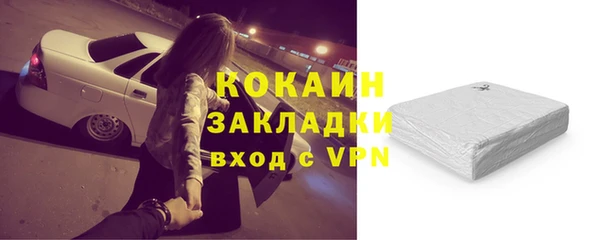 ГАЛЛЮЦИНОГЕННЫЕ ГРИБЫ Михайлов