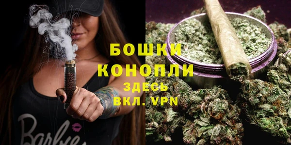 спиды Бежецк