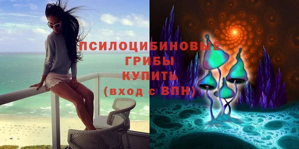 ГАЛЛЮЦИНОГЕННЫЕ ГРИБЫ Михайлов