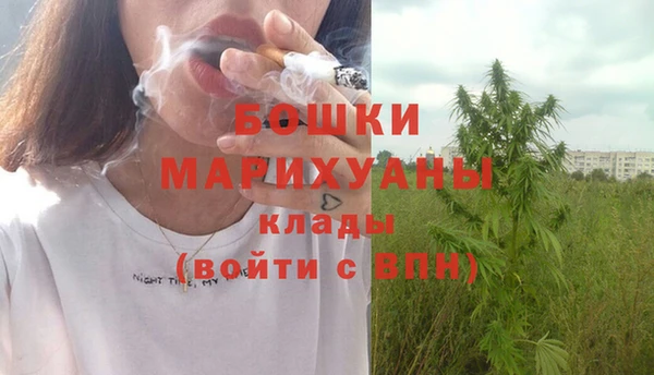 ГАЛЛЮЦИНОГЕННЫЕ ГРИБЫ Михайлов