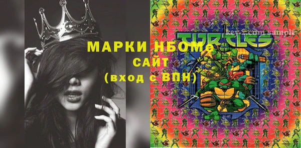 ГАЛЛЮЦИНОГЕННЫЕ ГРИБЫ Михайлов
