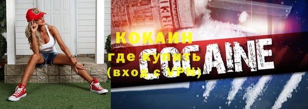 ГАЛЛЮЦИНОГЕННЫЕ ГРИБЫ Михайлов