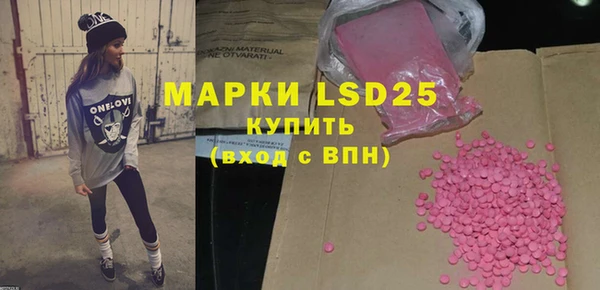 ГАЛЛЮЦИНОГЕННЫЕ ГРИБЫ Михайлов