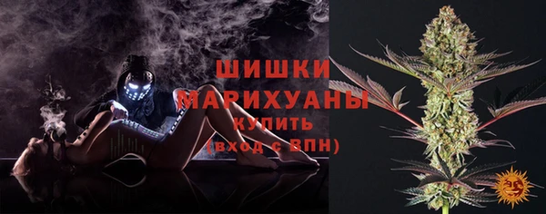 ГАЛЛЮЦИНОГЕННЫЕ ГРИБЫ Михайлов
