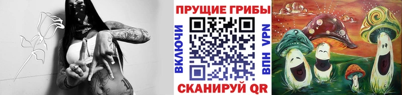 Псилоцибиновые грибы Psilocybe Звенигово