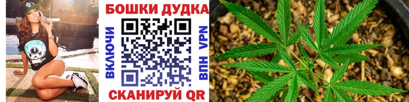 где купить   Звенигово  Каннабис планчик 
